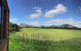 Willowtree Glamping Reviews