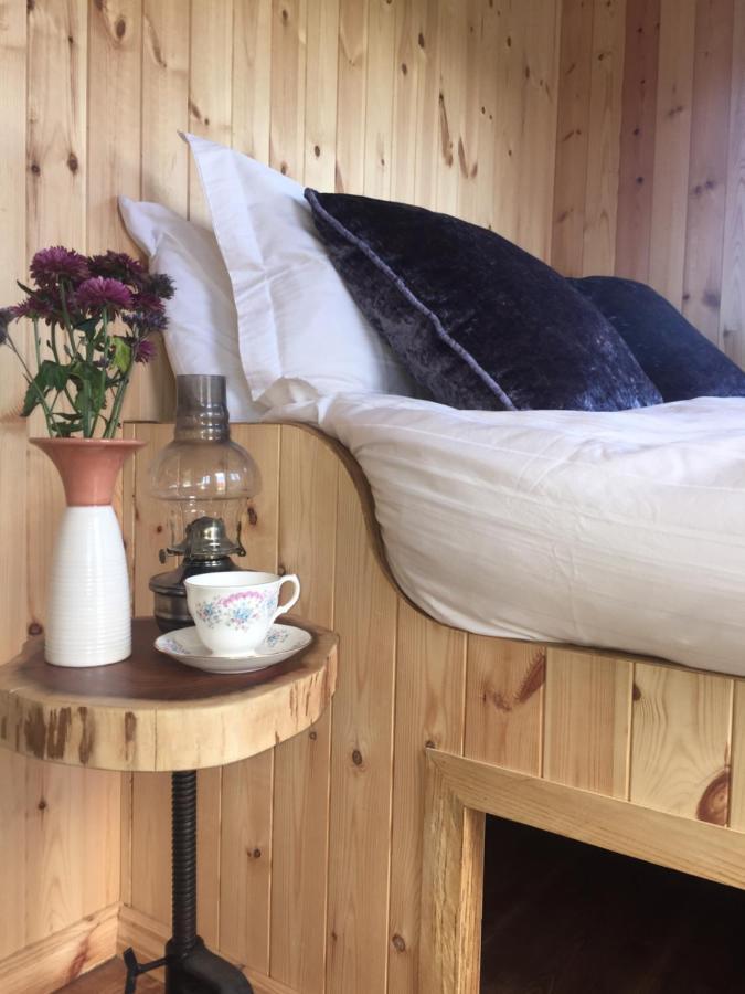 Willowtree Glamping Mournes Villa Annalong Exterior photo